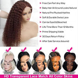YUZHU 5x5 Water Wave HD Lace Closure Wigs Human Hair Pre Plucked Chocolate Brown